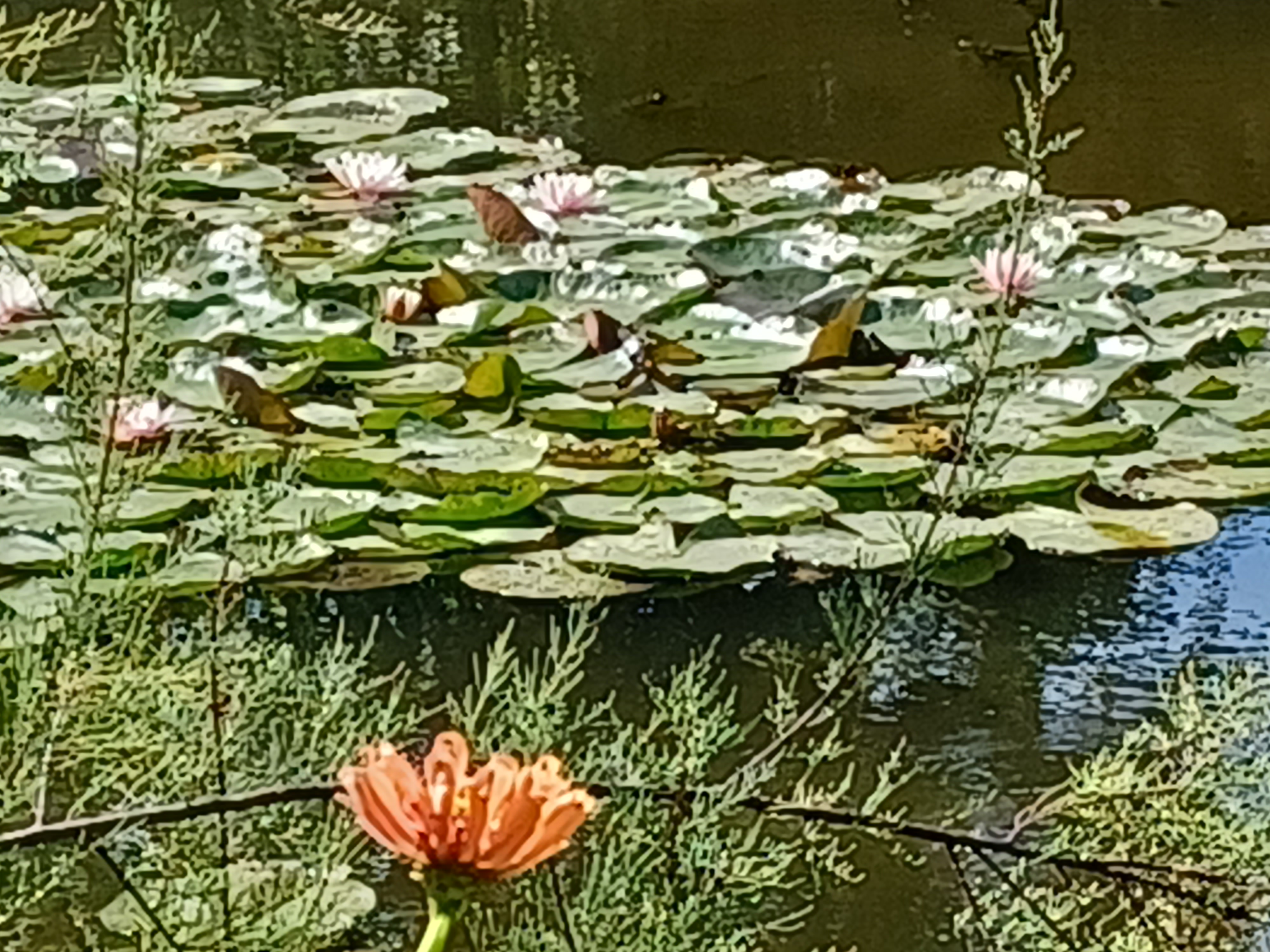 Photo n° 20 de l'avis de Fred.u fait le 28/08/2022 à 17:23