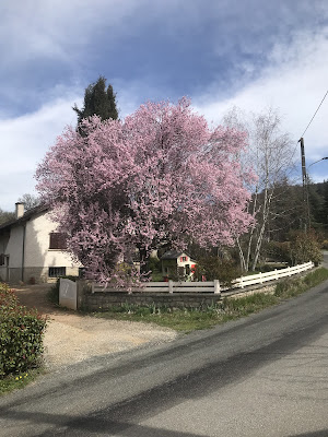 Gîte d’étape Pat pèlerine à Cajarc