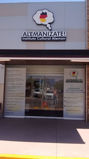 Instituto cultural Alemán, Alemanizate