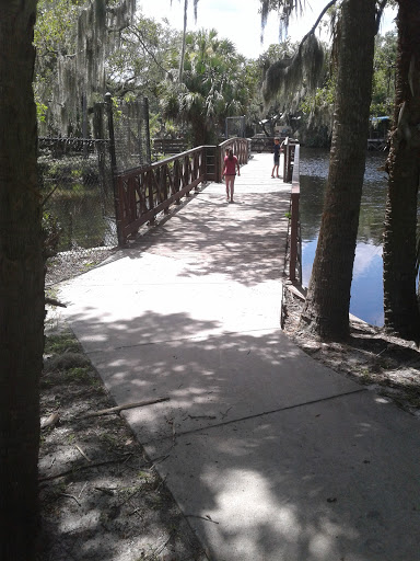 Public Swimming Pool «Sulphur Springs Pool», reviews and photos, 701 E Bird St, Tampa, FL 33604, USA