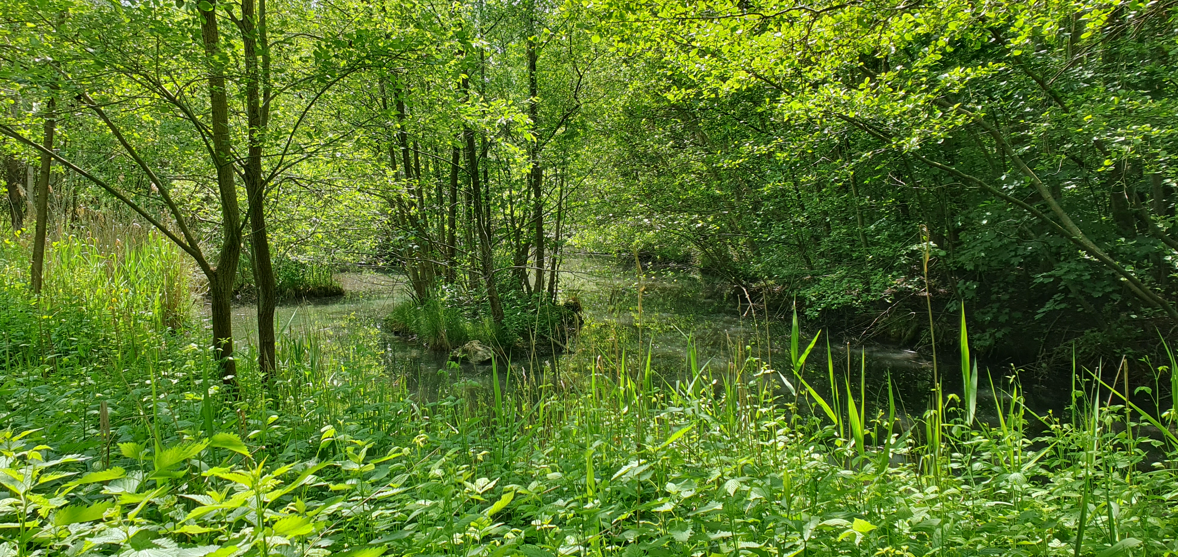 Photo n° 5 de l'avis de Thorkass. fait le 20/05/2023 à 14:06