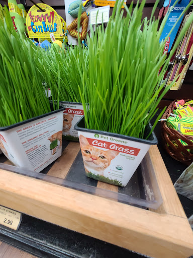 Pet Supply Store «Pet Valu», reviews and photos, 940 Bay Ridge Rd, Annapolis, MD 21403, USA