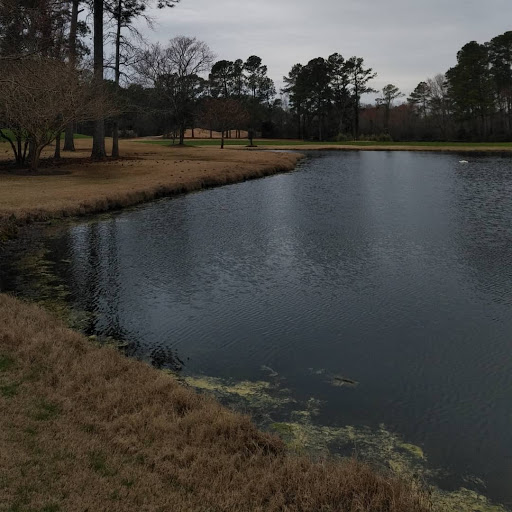 Golf Course «South Creek at Myrtle Beach National», reviews and photos, 4900 National Dr, Myrtle Beach, SC 29579, USA