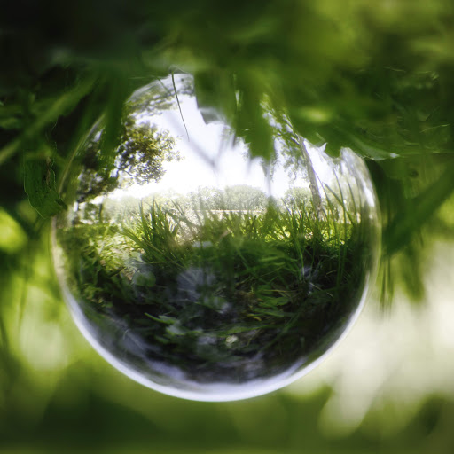 Memorial Park «Memorial Park», reviews and photos, 1620 Riverside Ave, Jacksonville, FL 32204, USA