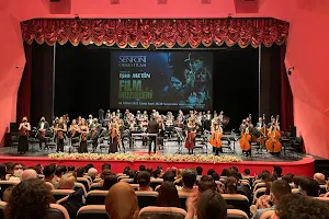 Eskişehir Metropolitan Municipality Symphony Orchestra image