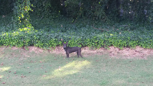 Private Golf Course «The Standard Club», reviews and photos, 6230 Abbotts Bridge Rd, Johns Creek, GA 30097, USA