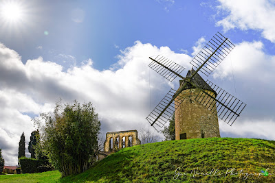 Moulin de Tourtrès à Tourtrès