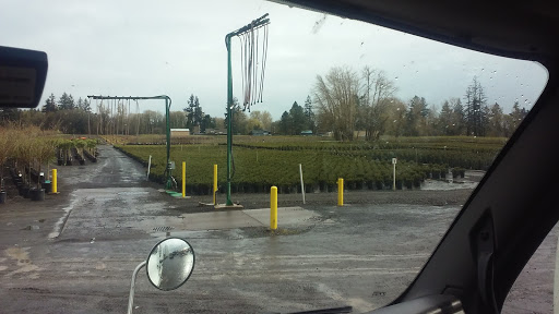 Garden Path Flowers, 5880 SE Booth Bend Rd, McMinnville, OR 97128, USA, 