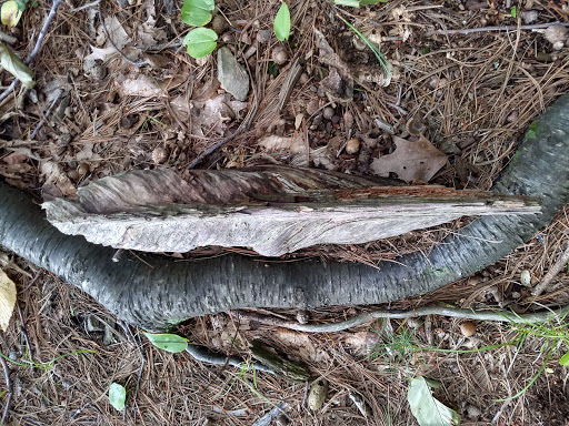 Golf Club «Crystal Lake Golf Club», reviews and photos, 940 N Broadway, Haverhill, MA 01832, USA