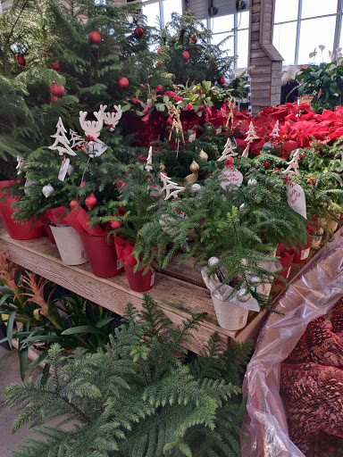 Home Improvement Store «The Home Depot», reviews and photos, 1120 Vann Dr, Jackson, TN 38305, USA