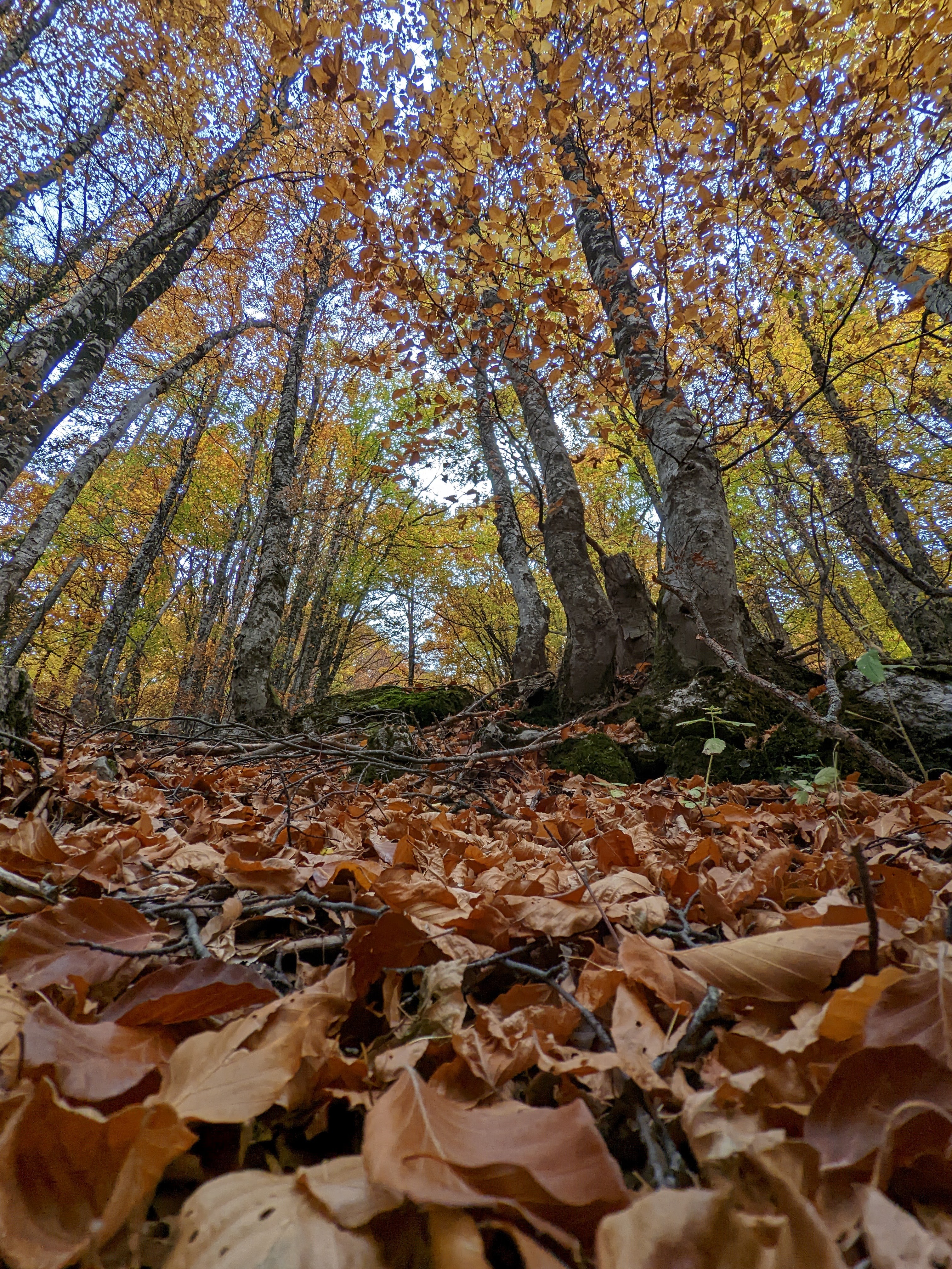 Photo n° 3 de l'avis de Luc.o fait le 29/10/2022 à 18:27