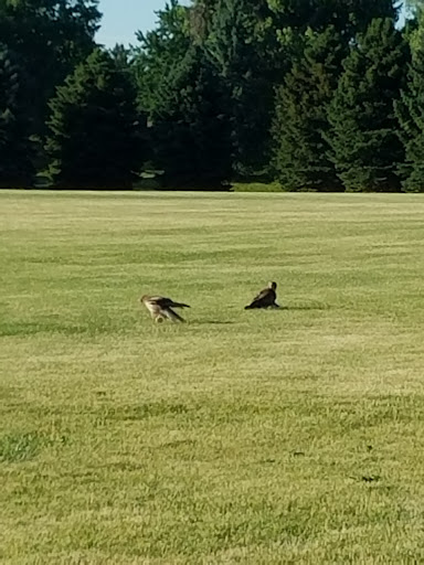 Park «James a Bible Park», reviews and photos, 6802 E Yale Ave, Denver, CO 80224, USA