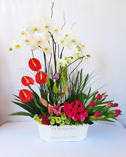 Floreria Holandesa – Cuernavaca