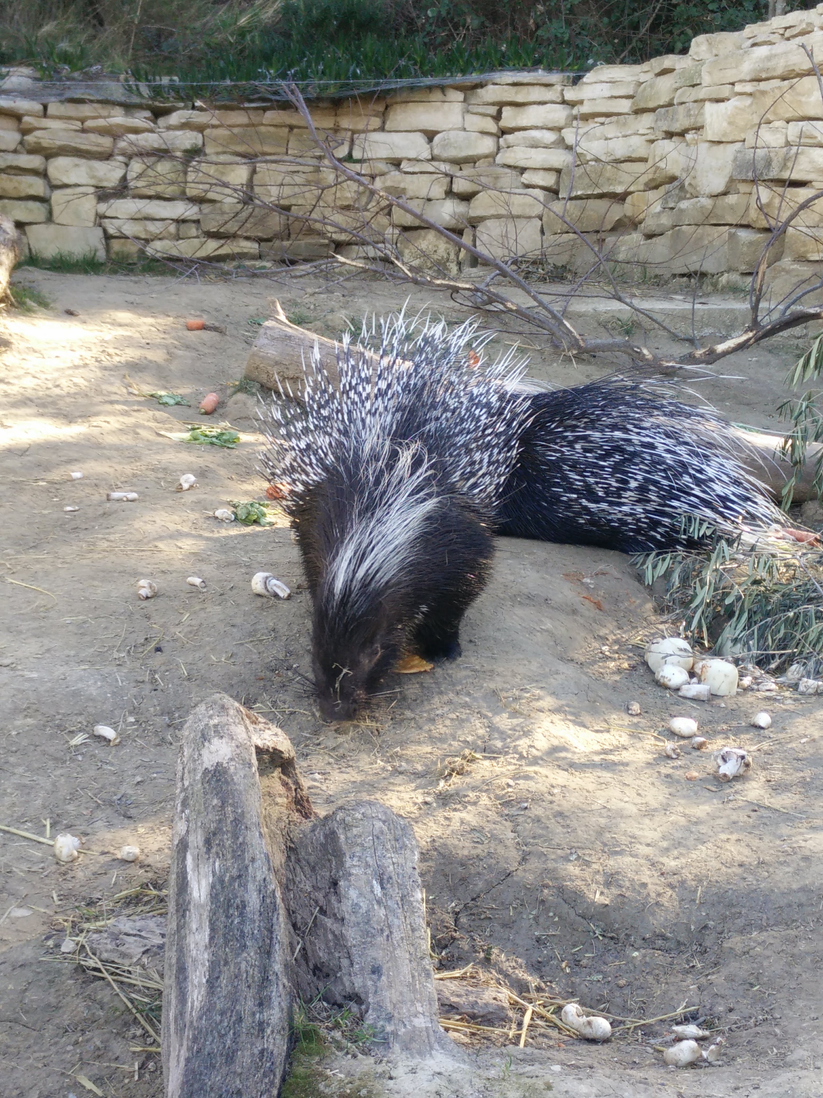 Photo n° 2 de l'avis de bruno.r fait le 10/02/2019 à 17:38