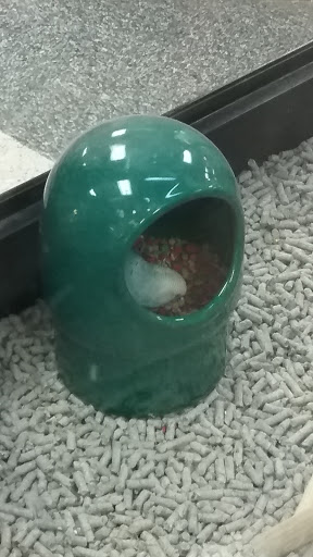 Pet Supply Store «Petco Animal Supplies», reviews and photos, 1450 Twixt Town Rd, Marion, IA 52302, USA