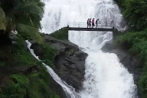 Pappani Water Falls Urumbikkara 1 image