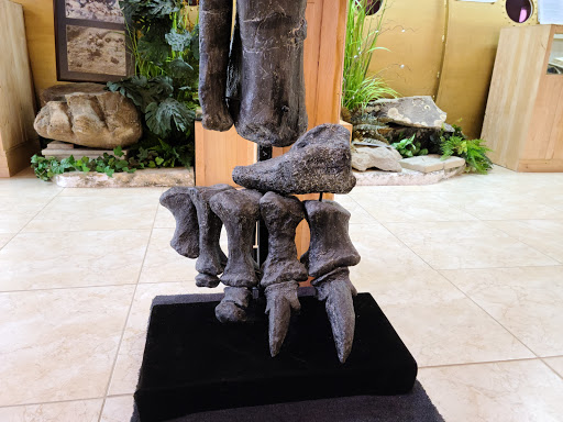 Museum «Creation Evidence Museum», reviews and photos, 3102 FM 205, Glen Rose, TX 76043, USA