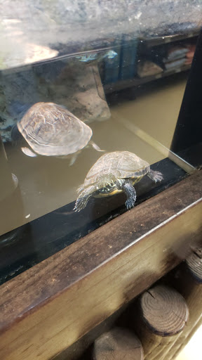 Pet Supply Store «Petco Animal Supplies», reviews and photos, 13 Welles St, Glastonbury, CT 06033, USA