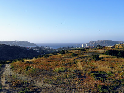 Quebrada de las Rosas