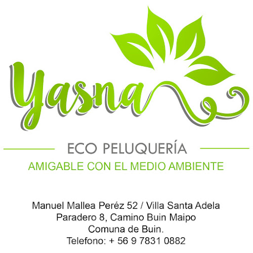 Opiniones de Eco peluquería Yasna en Buin - Centro de estética
