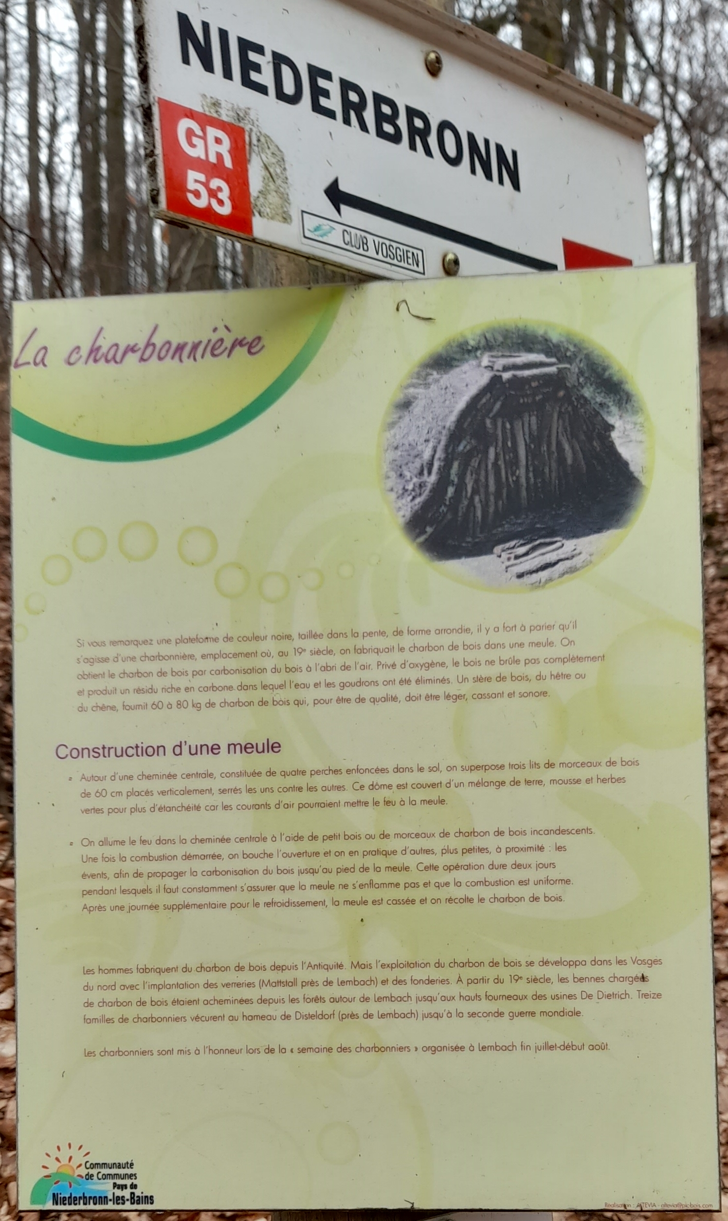 Photo n° 16 de l'avis de NoKurzTif.i fait le 17/03/2022 à 12:37