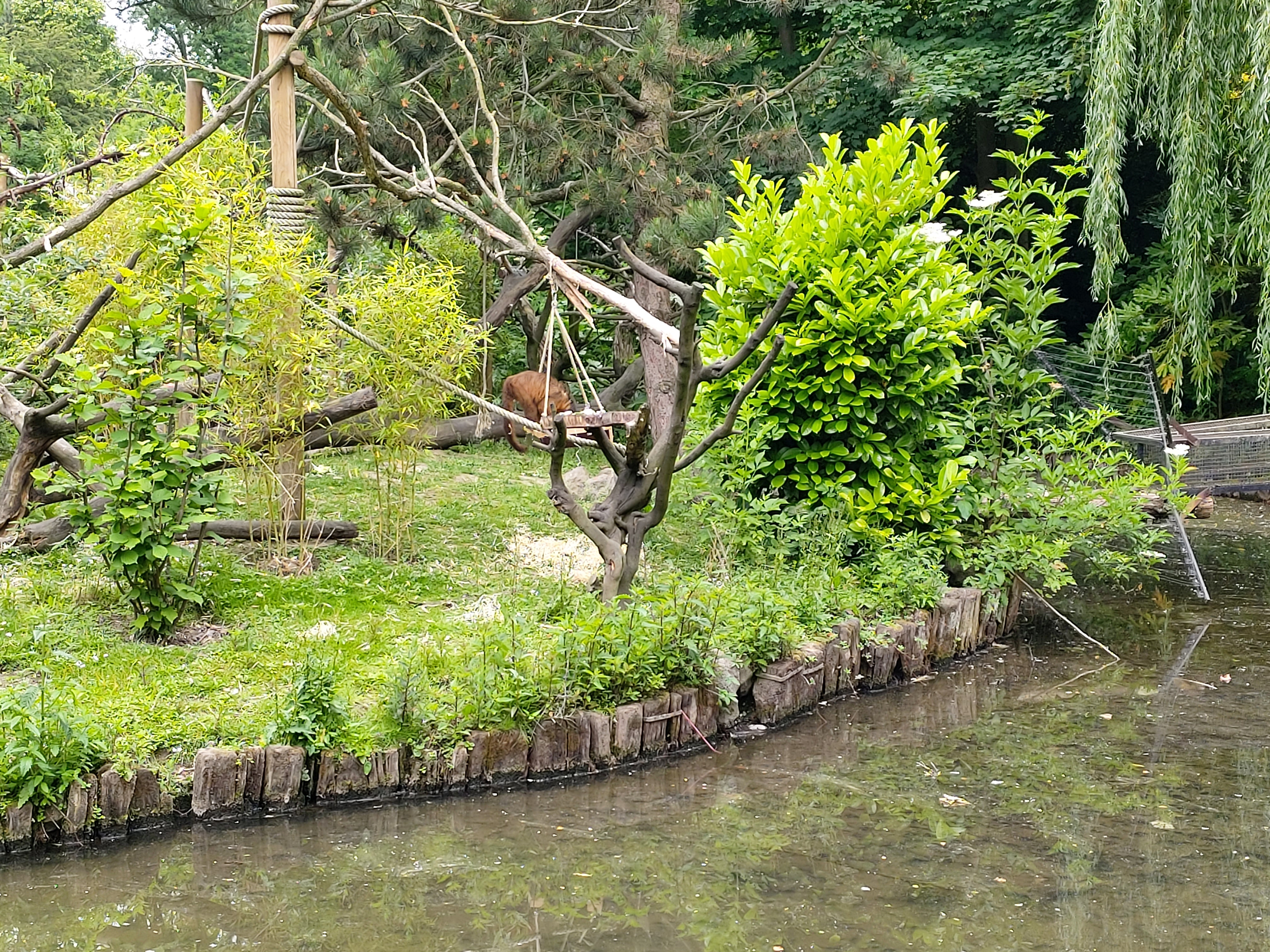 Photo n° 16 de l'avis de DJ.i fait le 12/06/2021 à 15:42