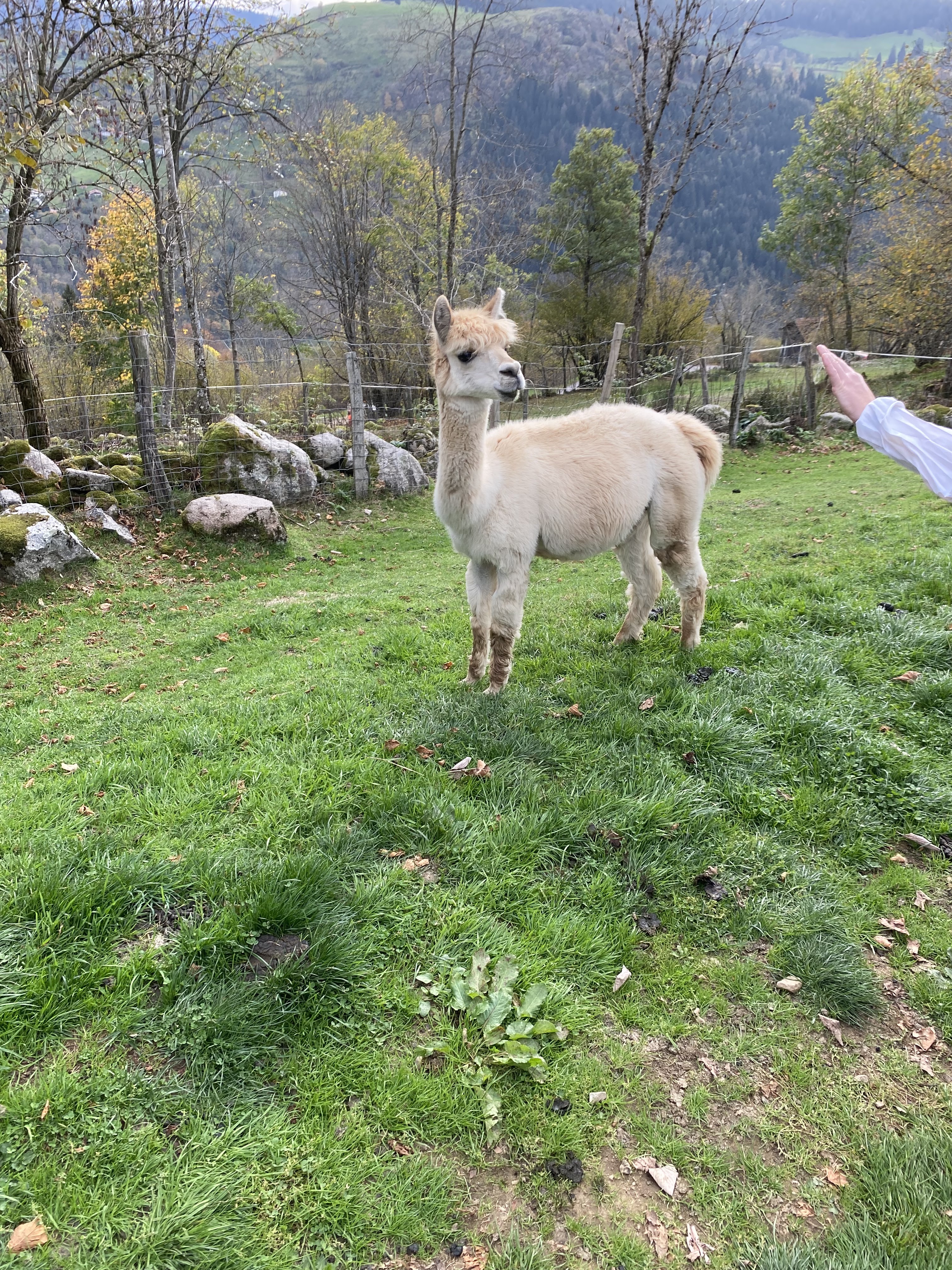 Photo n° 3 de l'avis de Béatrice.I fait le 03/11/2022 à 18:08