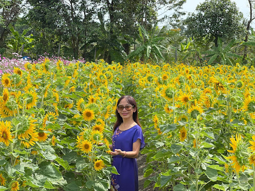 Top 20 cửa hàng cây kiểng Thành phố Phan Thiết Bình Thuận 2022