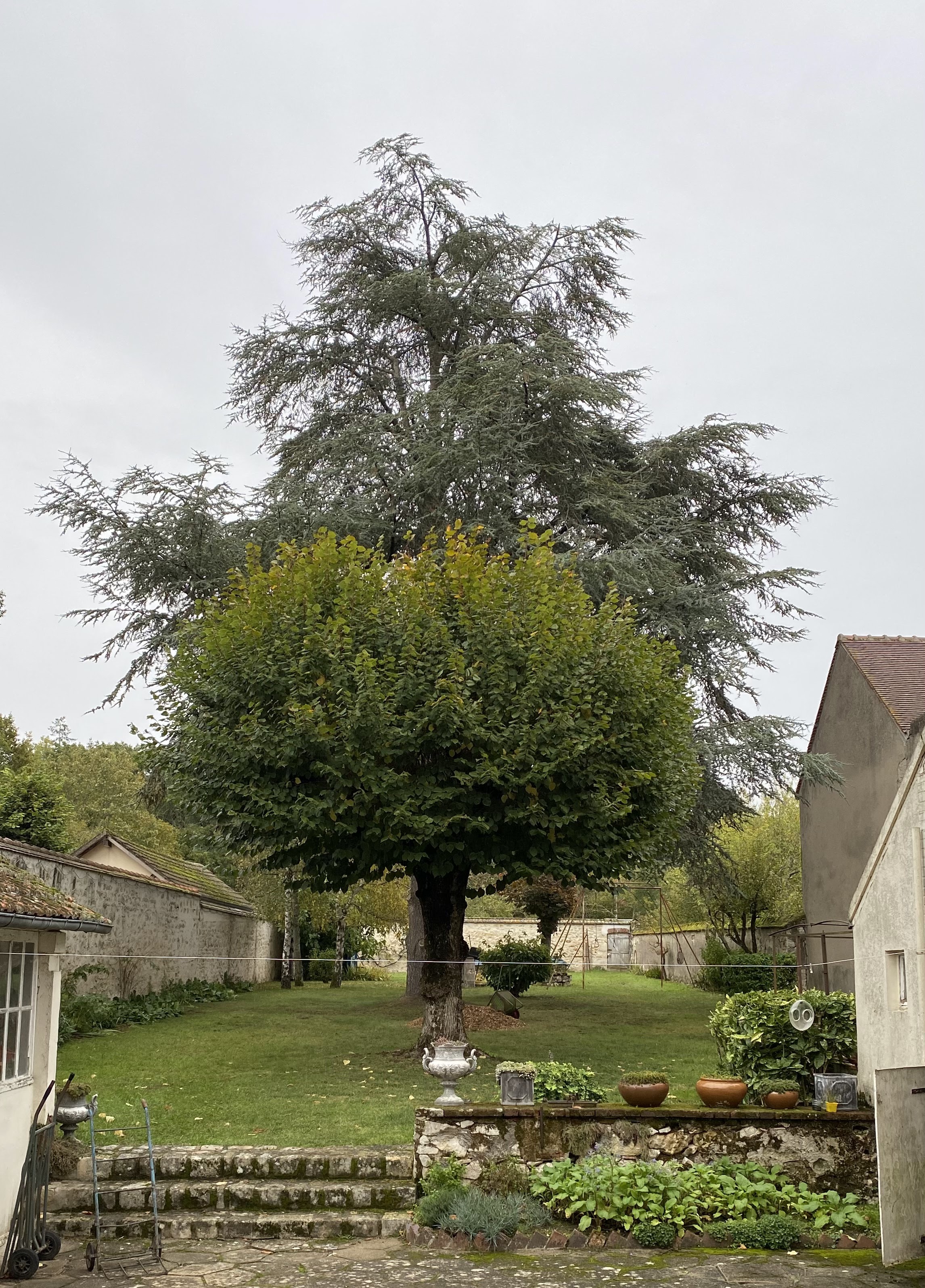 Photo n° 1 de l'avis de jm.e fait le 19/11/2023 à 22:35