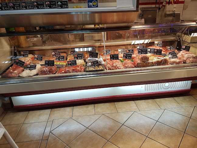 ΘΩΜΑΣ ΚΡΕΟΠΩΛΕΙΟ - ΠΕΡΧΑΝΙΔΗΣ ΘΩΜΑΣ - Συκιές