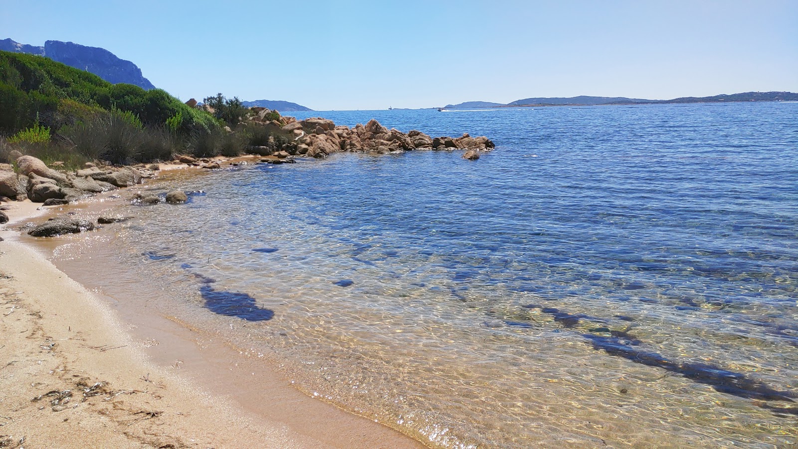 Foto di Spiaggetta della Calcatreppula con una superficie del sabbia marrone