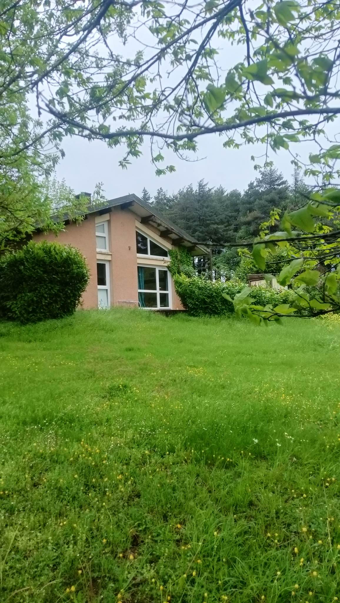 Photo n° 2 de l'avis de Renard.n fait le 09/05/2023 à 17:27