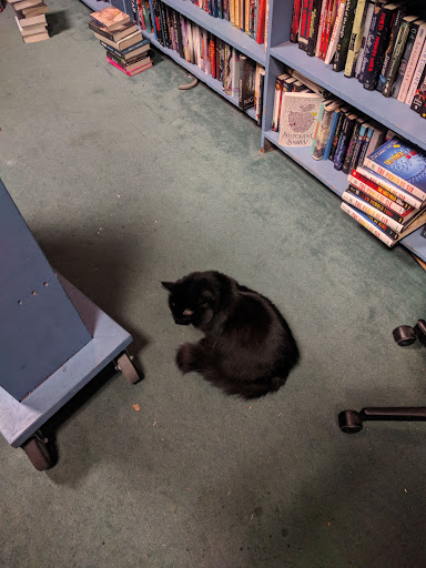 Used Book Store «Recycle Bookstore», reviews and photos, 1066 The Alameda, San Jose, CA 95126, USA