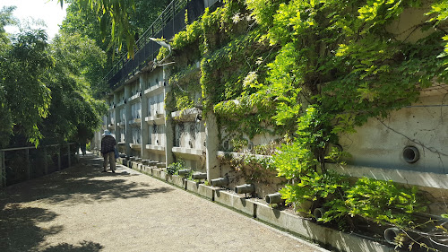 Jardin des Bambous à Paris