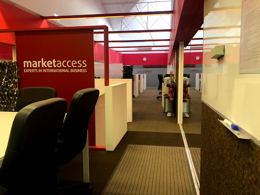 Market Access-Experts in International Business