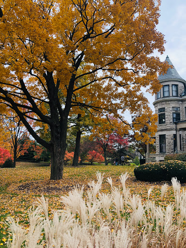 Museum «Elmhurst History Museum», reviews and photos, 120 E Park Ave, Elmhurst, IL 60126, USA