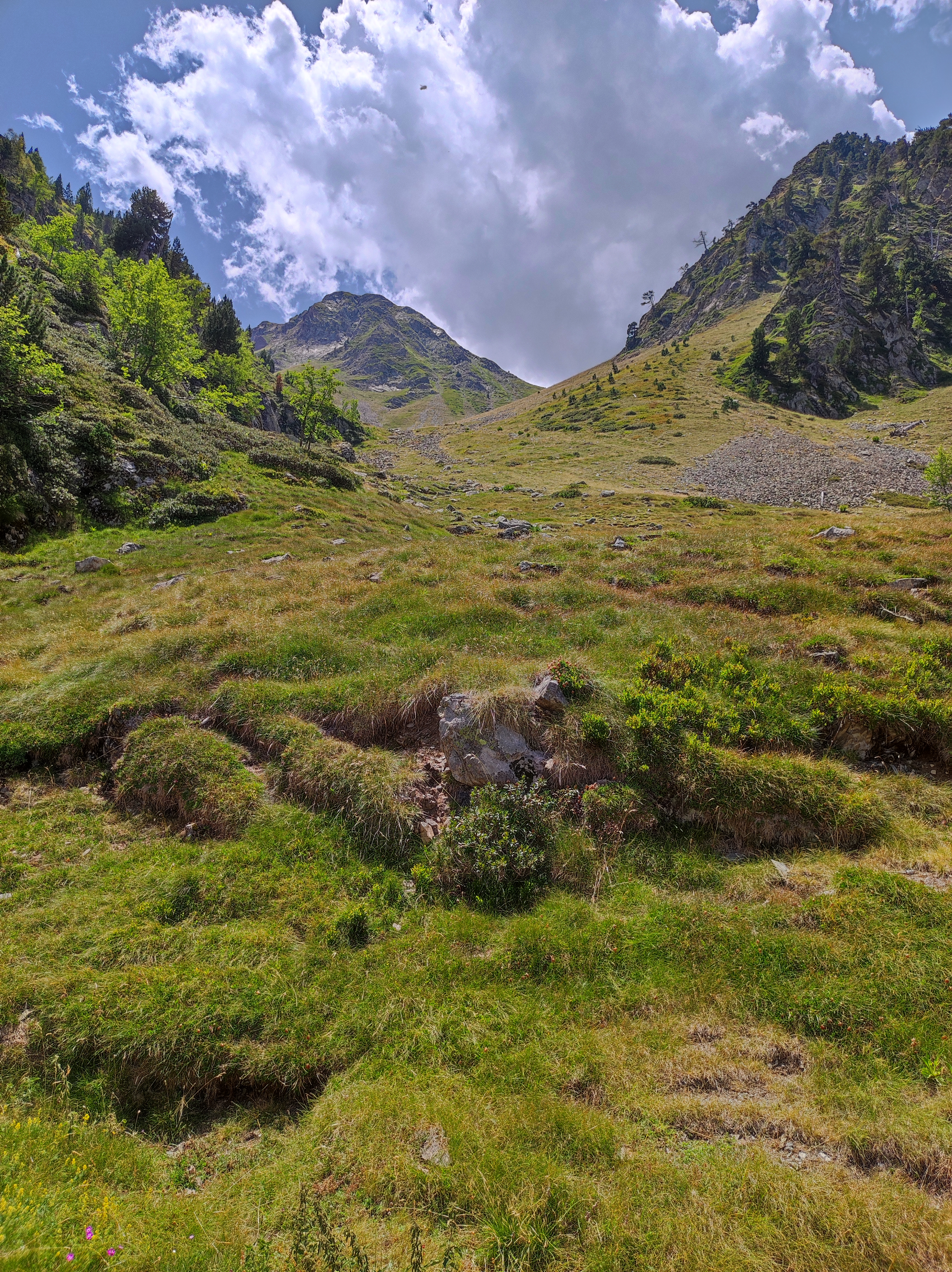 Photo n° 5 de l'avis de Élisabeth.R fait le 02/08/2022 à 17:43