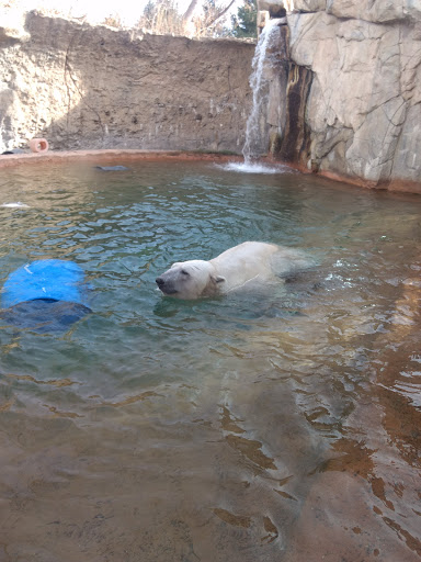 Zoo «Monkey Island», reviews and photos, 8 E 23rd Ave, Denver, CO 80205, USA