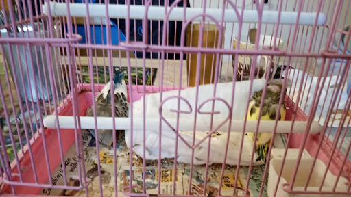 Clothing Store «F21 XXI», reviews and photos, 2800 N Main St #201, Santa Ana, CA 92705, USA