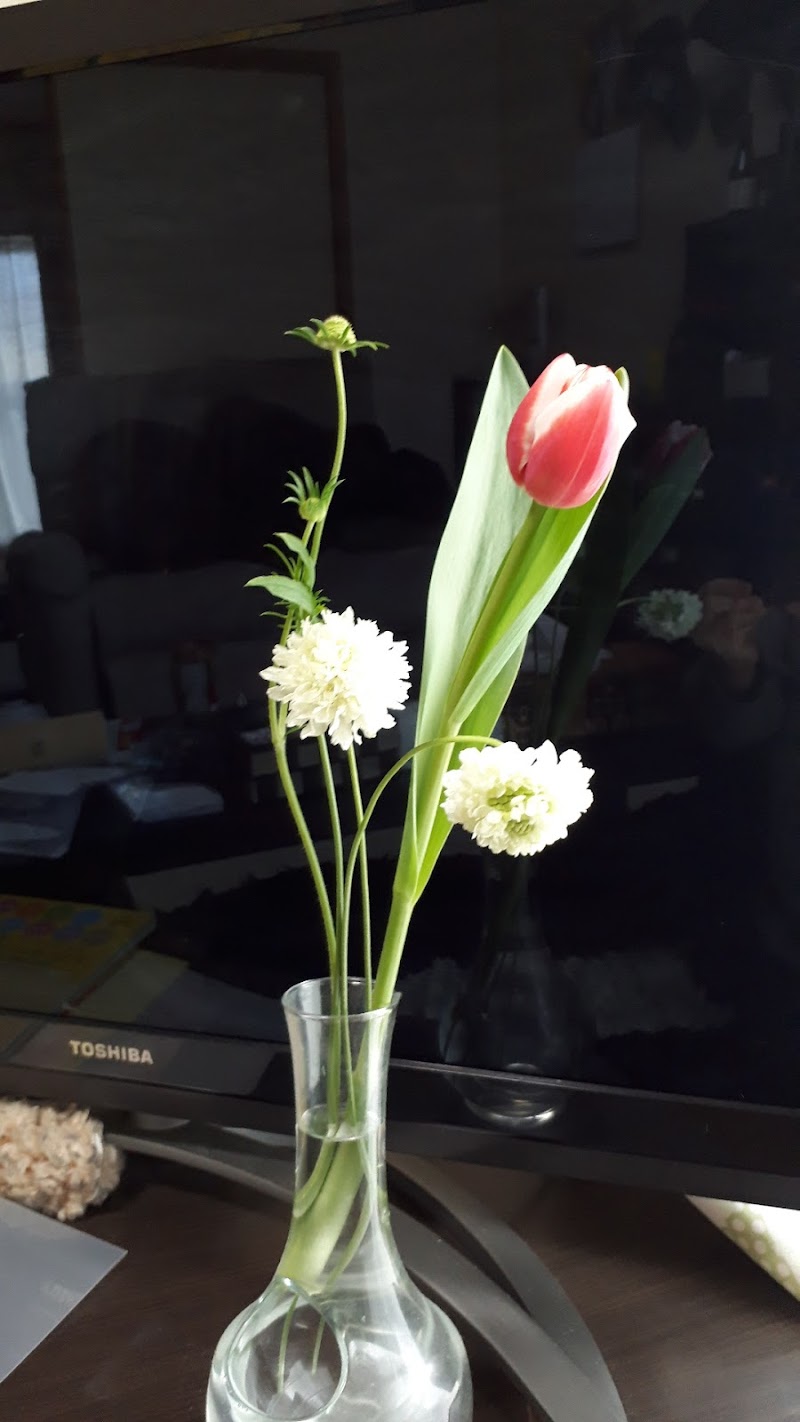 お花屋さん 春風 静岡県富士市御幸町 花屋 花 グルコミ