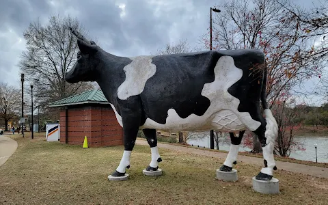 Kadie the Cow image