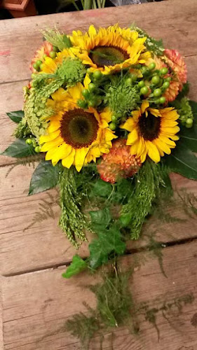 Rezensionen über Blumen Haueter in Olten - Blumengeschäft