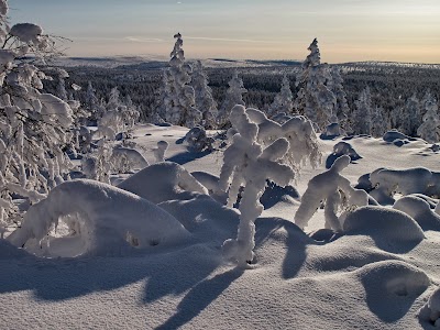 Photos of Saariselk&auml; Ski & Sport Resort Ltd