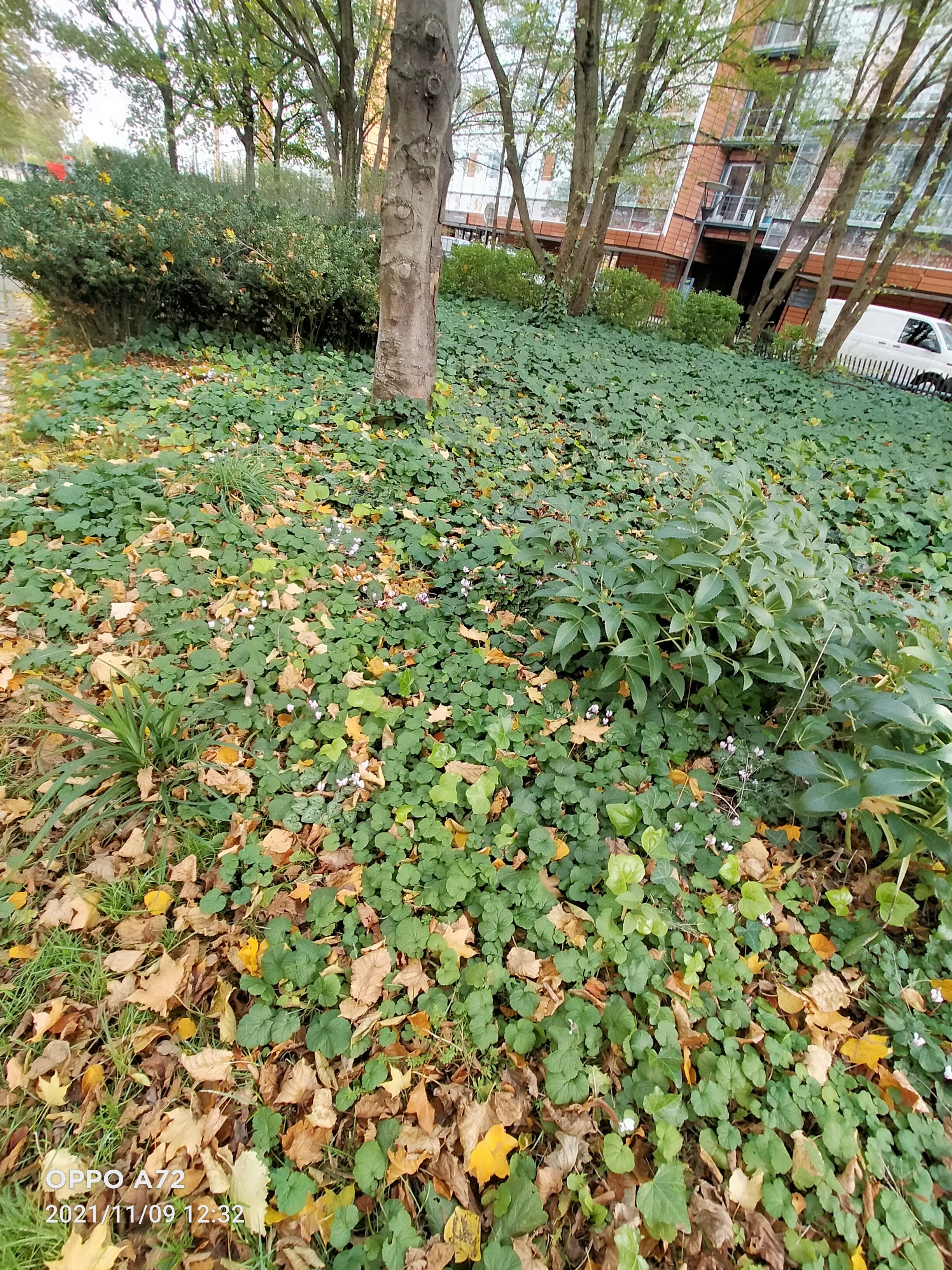 Photo n° 13 de l'avis de Laëtitia.o fait le 12/11/2021 à 21:37