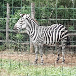 Photo n°5 de l'avis de Simone.r fait le 10/09/2020 à 09:59 sur le  Parc Gallorose à Loc. Cedrino