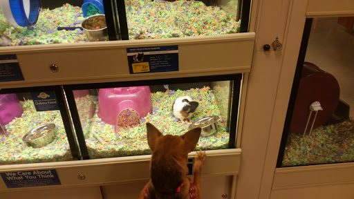 Pet Supply Store «PetSmart», reviews and photos, 156 Old Little Britain Rd, Newburgh, NY 12550, USA
