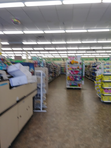 Dollar Store «Dollar Tree», reviews and photos, 1061 S York Rd, Bensenville, IL 60106, USA