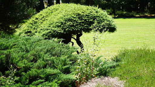 Natural History Museum «Rice Northwest Museum of Rocks & Minerals», reviews and photos, 26385 NW Groveland Dr, Hillsboro, OR 97124, USA