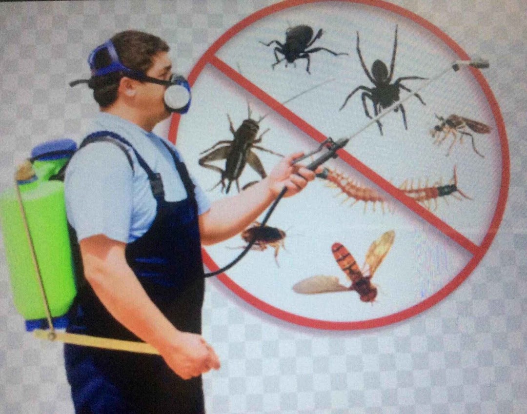Pest Control solution
