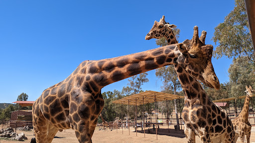 La Reserva Andalucía en El Castillo de las Guardas